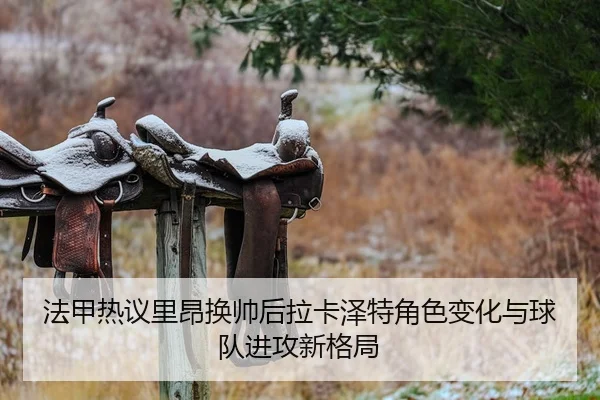 法甲热议里昂换帅后拉卡泽特角色变化与球队进攻新格局