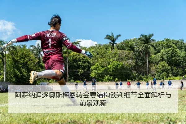 阿森纳追逐奥斯梅恩转会费结构谈判细节全面解析与前景观察